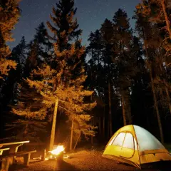 Nocny obóz w lesie. Rozświetlony namiot i ognisko przy stole piknikowym, pod rozgwieżdżonym niebem. Idealne miejsce, gdzie pod namiot.
