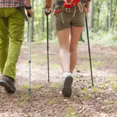 Dwie osoby idą leśną ścieżką, jedna w zielonych spodniach, druga w krótkich spodenkach. Idealne jakie spodnie w góry na letnią wędrówkę.