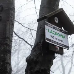 Tabliczka na drzewie w Beskidzie Niskim informuje o szczycie Lackowa (997 m n.p.m.). Mglisty las tworzy atmosferę jak na lackowa ściana płaczu.