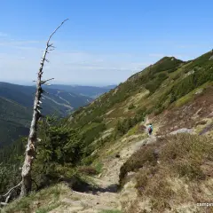 Szlak w Karkonoszach Czech. Turysta z plecakiem schodzi kamienistą ścieżką w dolinę.