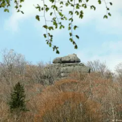 Skalny labirynt na czeskie izery, otoczony nagimi drzewami i zielonymi gałązkami.
