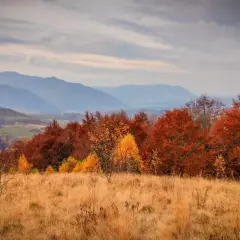 Jesienny krajobraz górski z paletą barw od złotej trawy po ogniste drzewa. Idealne miejsce, gdzie w góry jesienią.