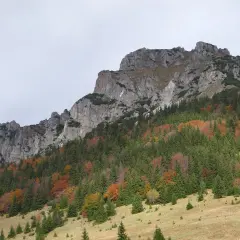 Wielki rozsutec górski w jesiennych barwach. Skaliste szczyty górują nad lasem, gdzie drzewa mienią się odcieniami zieleni, czerwieni i złota.