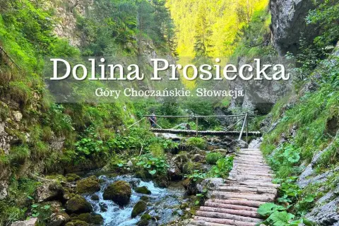Malownicza Dolina Prosiecka w Górach Choczańskich, Słowacja. Drewniany chodnik wije się wzdłuż potoku, otoczony bujną zielenią i skalnymi ścianami.