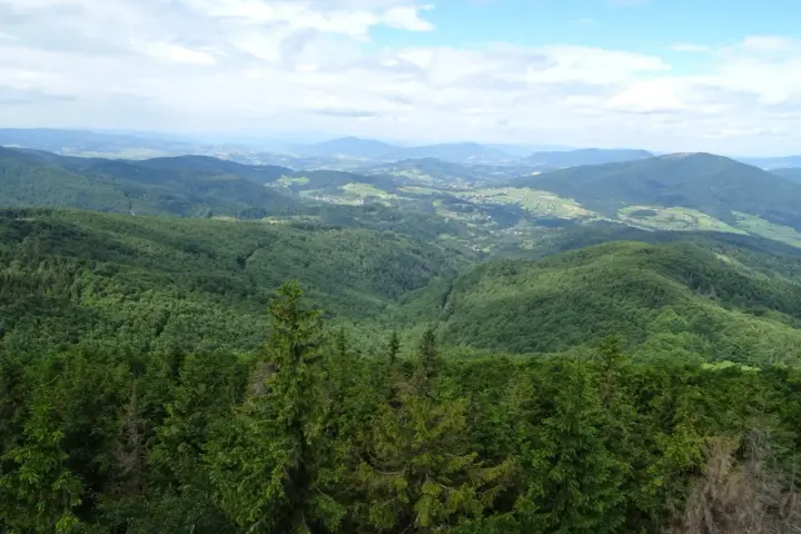 Widok z mogielnica szczyt na zielone, pofałdowane wzgórza Beskidu Niskiego. W oddali widać doliny i zabudowania.