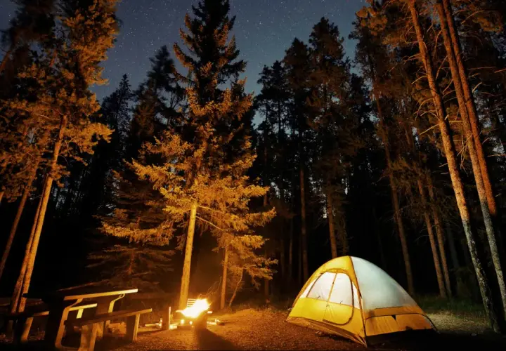 Nocny obóz w lesie. Rozświetlony namiot i ognisko przy stole piknikowym, pod rozgwieżdżonym niebem. Idealne miejsce, gdzie pod namiot.