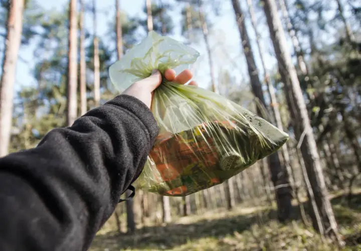 Ręka trzyma worek ze śmieciami w lesie. Zasady "leave no trace" to dbanie o przyrodę.