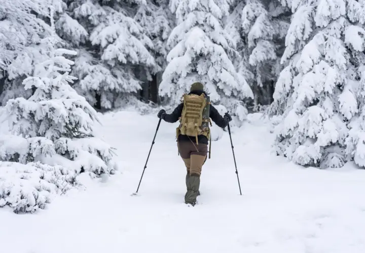 Osoba z plecakiem i kijkami przemierza zaśnieżony las. Zima, śnieg i ostrożność to podstawa, by uniknąć zagrożeń, takich jak lawinowe.