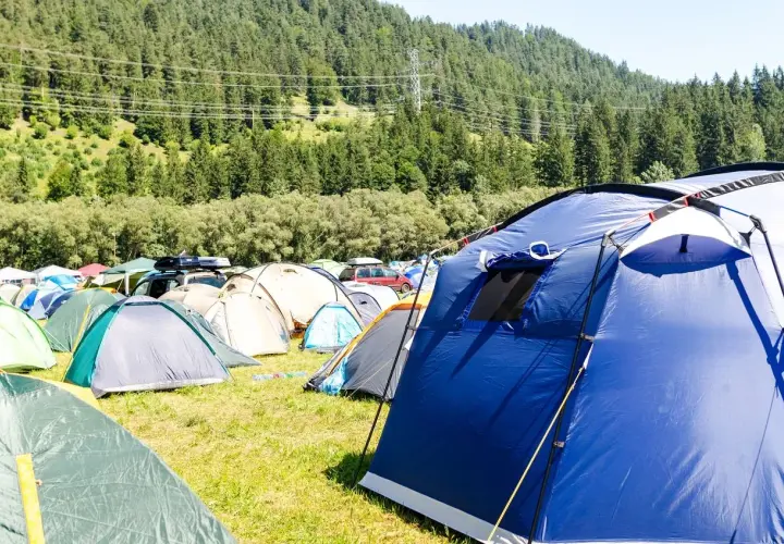 Pole namiotowe pełne kolorowych schronień. Jaki namiot wybierzesz na noc pod gwiazdami?