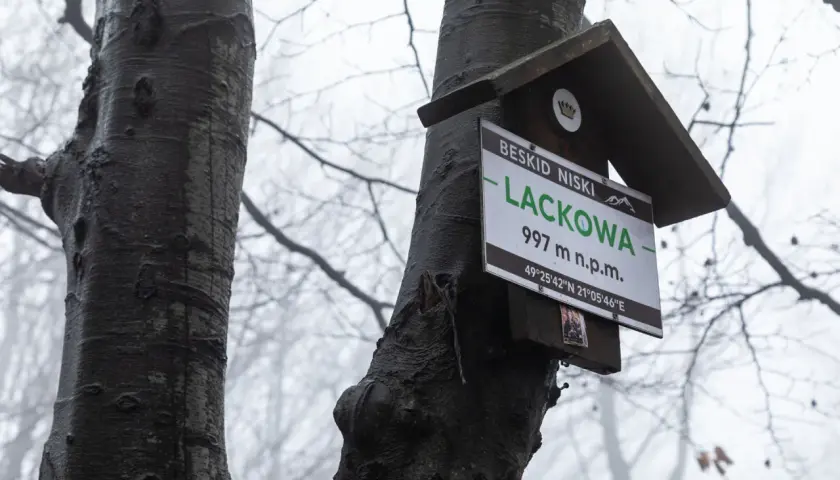 Tabliczka na drzewie w Beskidzie Niskim informuje o szczycie Lackowa (997 m n.p.m.). Mglisty las tworzy atmosferę jak na lackowa ściana płaczu.