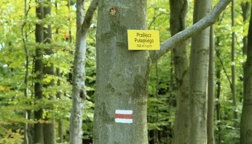 Szlak turystyczny na Lackową górę. Tabliczka z nazwą Przełęcz Pułaskiego i znak czerwono-biały na drzewie w lesie.