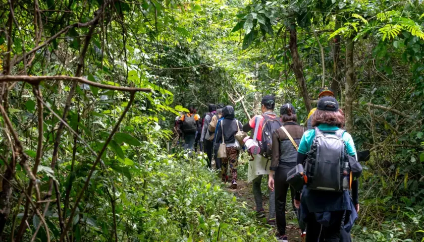 Grupa ludzi wyrusza na **trekking co to** znaczy wędrówkę przez gęsty, zielony las.