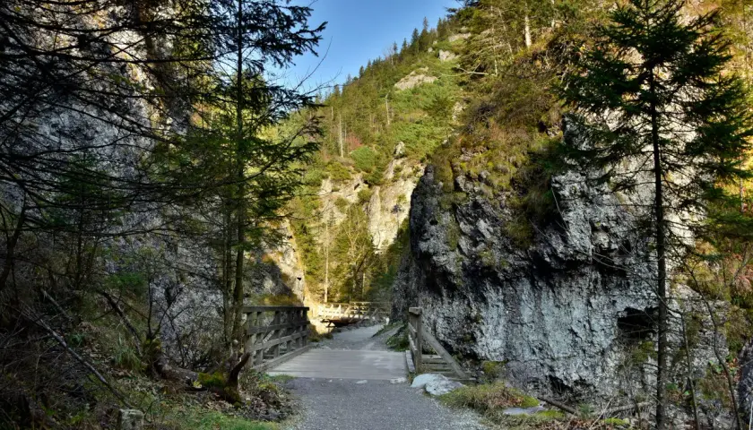 Kamienista ścieżka prowadzi przez wąwóz z drewnianymi kładkami. Idealne tatry szlaki dla początkujących, otoczone skalnymi ścianami i zielenią.
