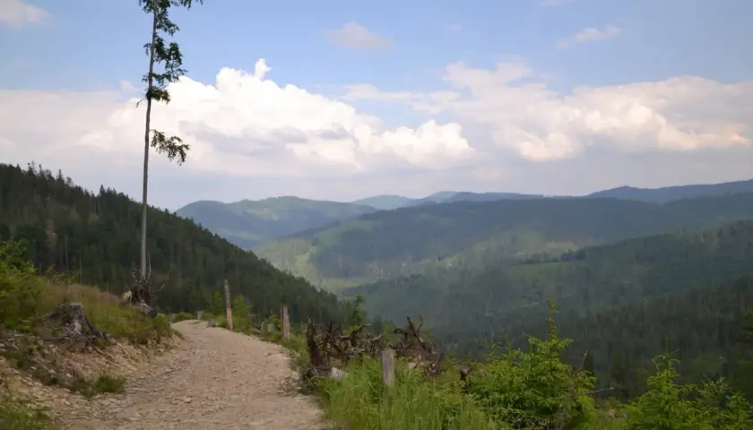 Kamienista ścieżka prowadzi na rycerską górkę, skąd rozpościera się widok na zalesione wzgórza i błękitne niebo z chmurami.