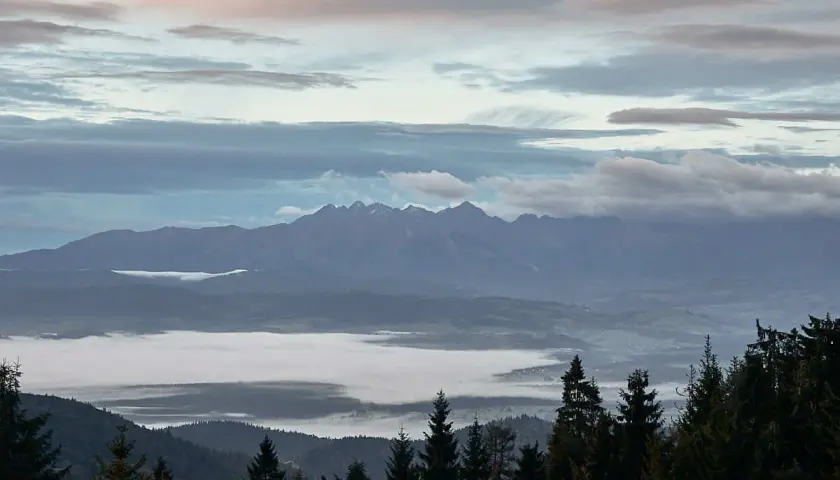 Mglisty poranek na Turbaczu. Wschód słońca maluje niebo pastelowymi barwami nad morzem chmur, a w oddali majaczą Tatry.
