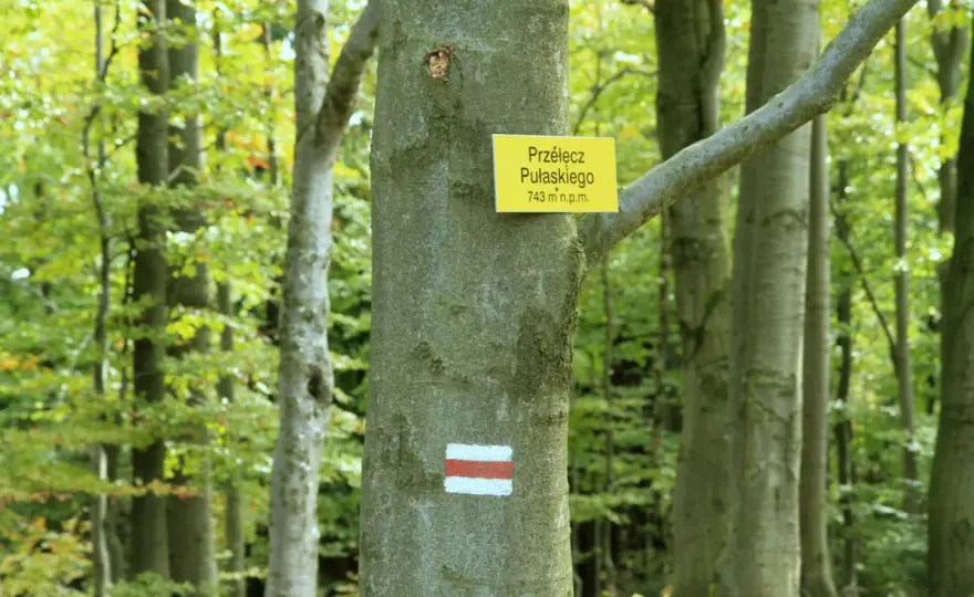 Lackowa - Szczyt Beskidu Niskiego. Jak wejść i trenować?