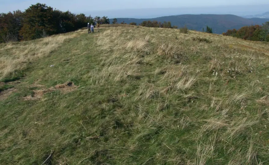 Polana Wyśnikówka - Mogielica, Tatry i trasy biegowe