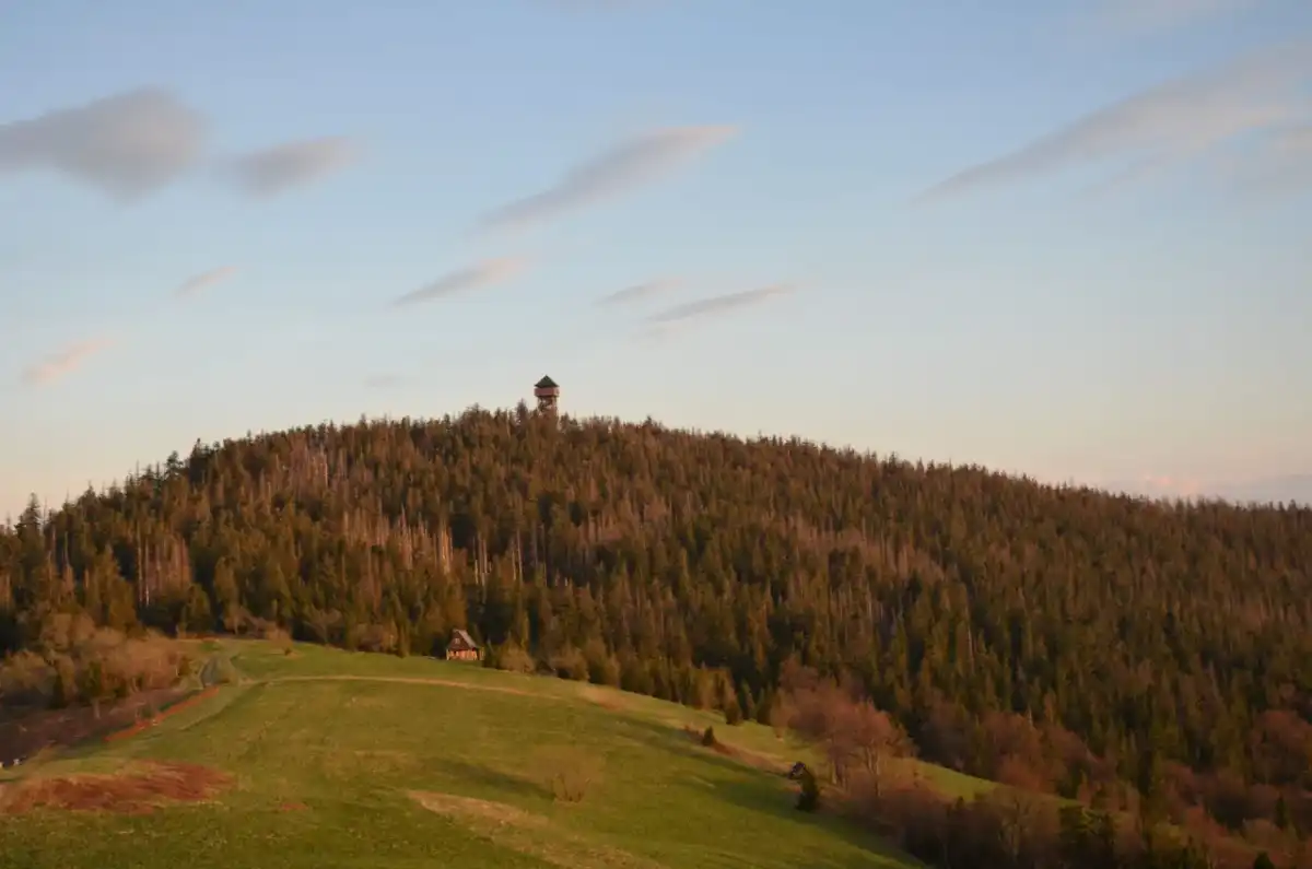Trasy na Turbacz, Gorc i Gorc Troszacki - przewodnik