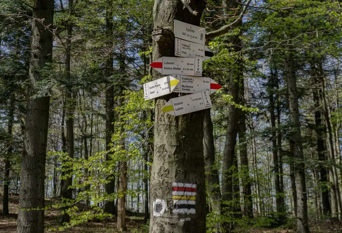Szlaki na Lubomir - trasy, czasy przejścia i parkingi