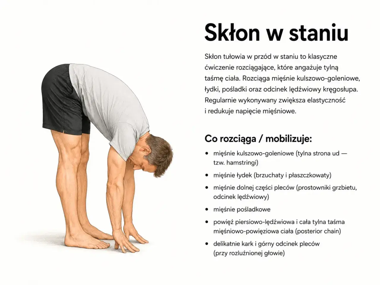 Mężczyzna wykonuje skłon w staniu, rozciągając tylną taśmę ciała. To ćwiczenie pokazuje, co daje stretching: zwiększa elastyczność i redukuje napięcie mięśni.