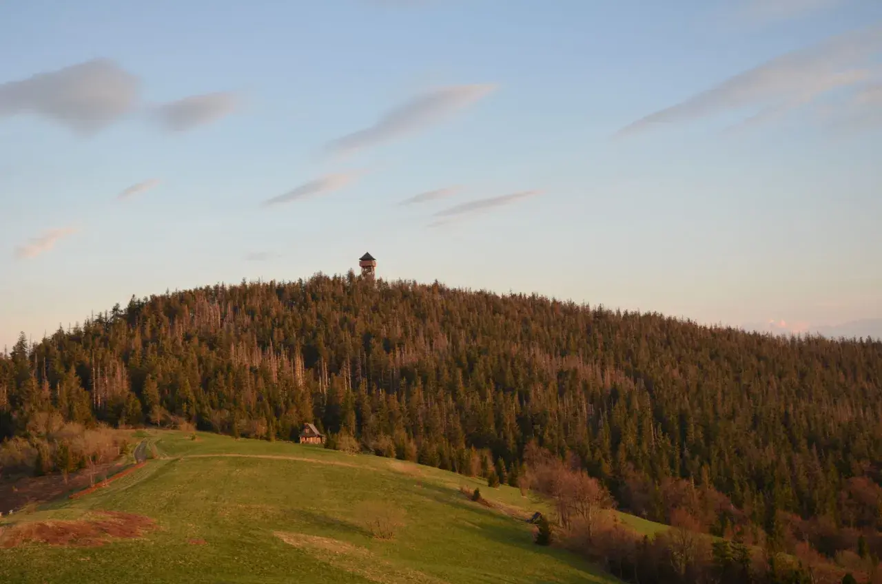 Wieża widokowa na szczycie zalesionego wzgórza, a u podnóża zielone łąki i mały domek. Idealne miejsce na gorce szlaki.