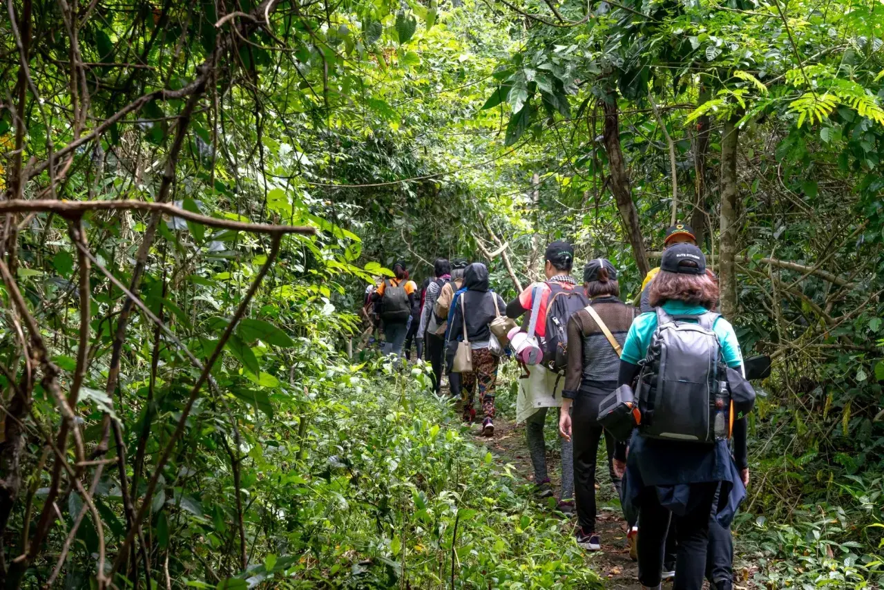 Grupa ludzi wyrusza na **trekking co to** znaczy wędrówkę przez gęsty, zielony las.