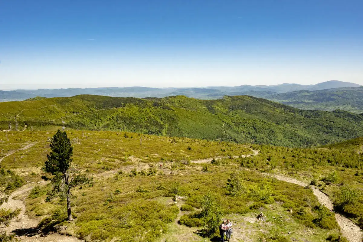 Malowniczy szlak na Baranią Górę, wijący się przez zielone wzgórza Beskidu Śląskiego. Dwie osoby podziwiają panoramę.