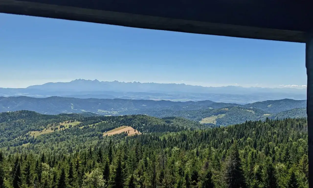 Widok na Beskid Sądecki i Tatry. Zielone lasy i polany, idealne na gorce szlaki.