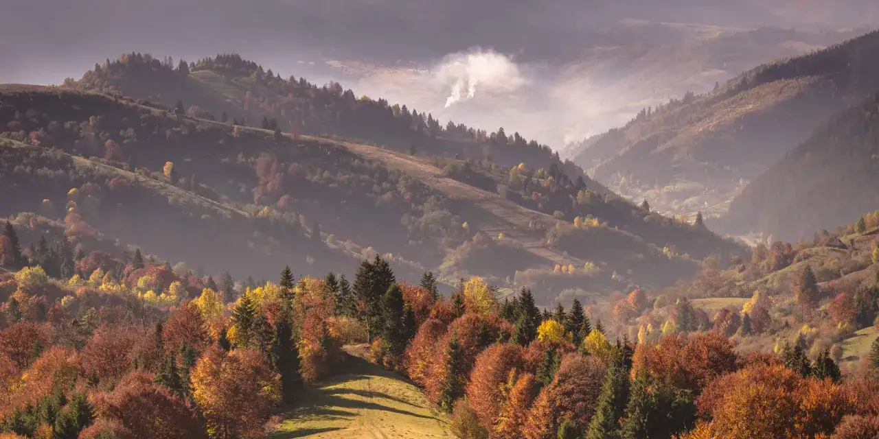 Jesienne Tatry w październiku. Mgła otula zbocza gór, a drzewa mienią się odcieniami złota i czerwieni.